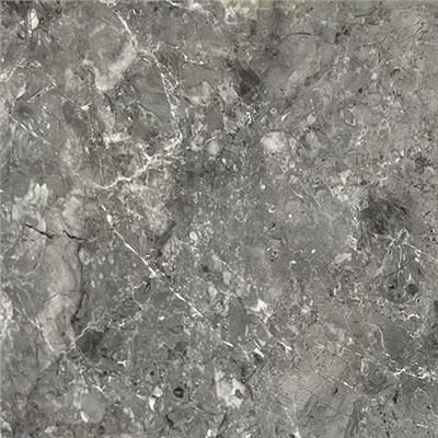 Grigio Fossil